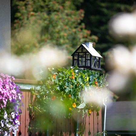 람자우 암 다흐스타인 Alpenhof B&B 외부 사진