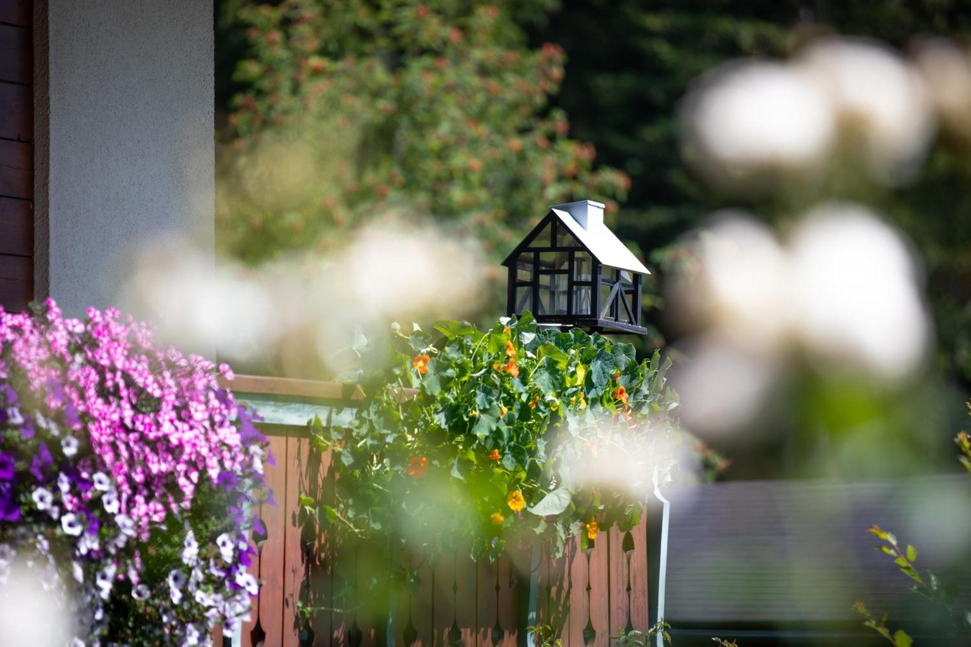 람자우 암 다흐스타인 Alpenhof B&B 외부 사진